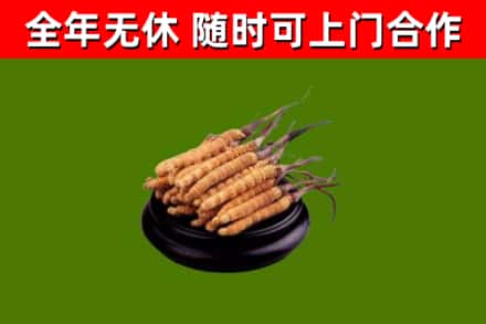 郴州市烟酒回收冬虫夏草.jpg