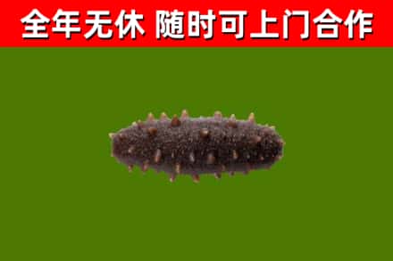 郴州市烟酒回收干海参.jpg